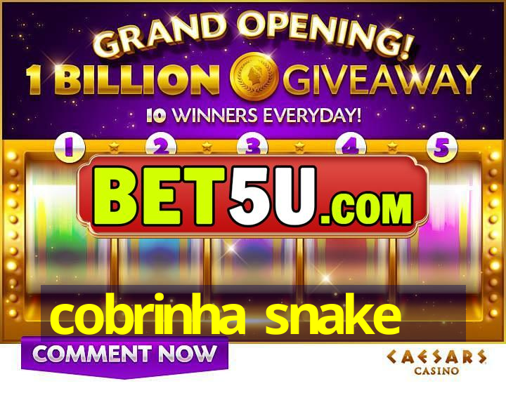 cobrinha snake